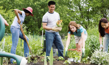 Setting a sustainable standard