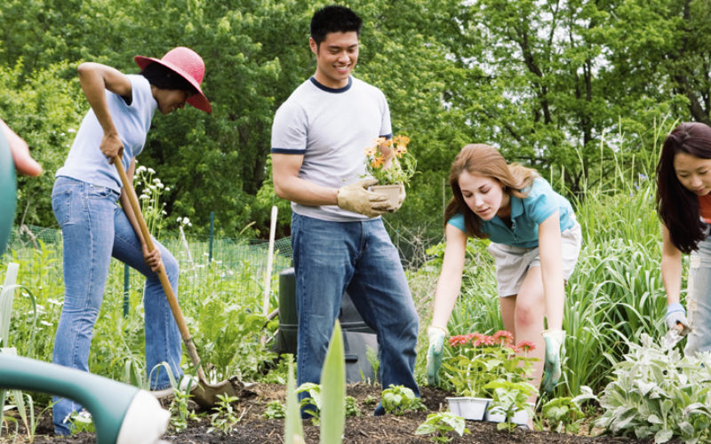 Setting a sustainable standard