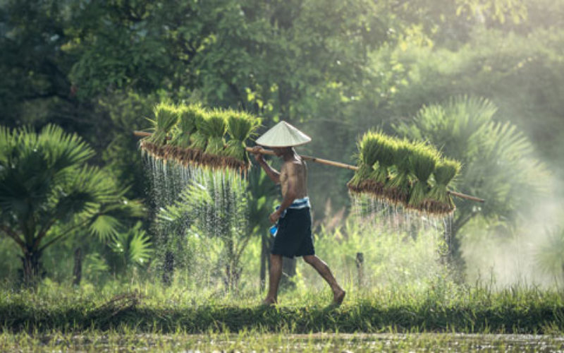 Pacific World report lists destinations in special demand