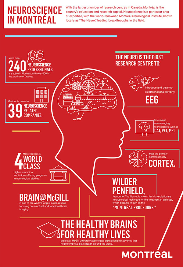 CMW_Infographic_Version-courte