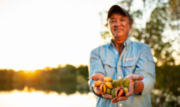 Indigenous food on the Darwin menu