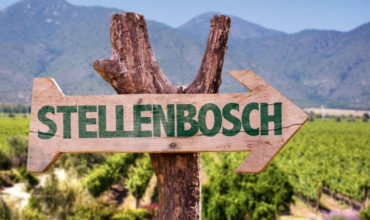 GM appointed to boost new DMO Visit Stellenbosch