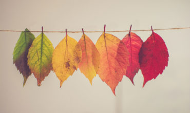 Embracing change for events success