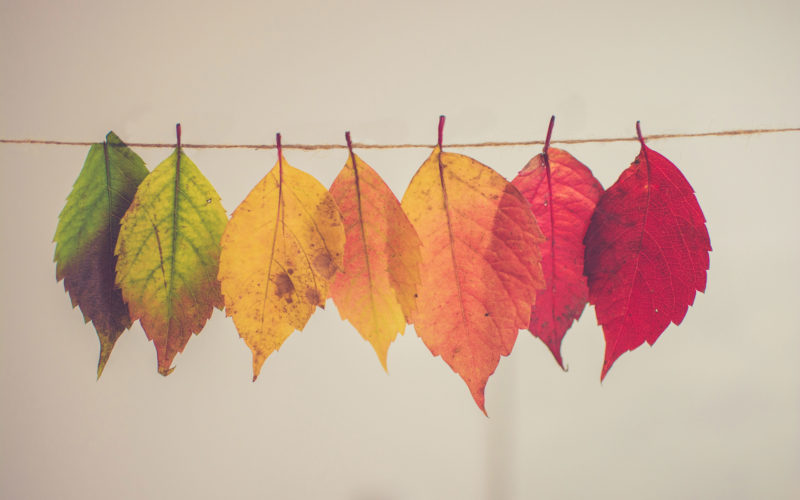 Embracing change for events success