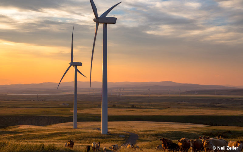 Strong winds in Calgary’s meetings sails