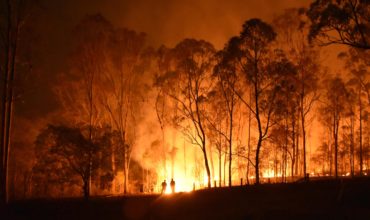 Australian Government pledges huge bushfire recovery fund