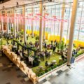 Melbourne’s scientific sector to put two new, big conferences under the microscope