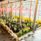 Melbourne’s scientific sector to put two new, big conferences under the microscope