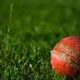 Restrata at the wicket in UAE providing a biosecure environment for India’s relocated 2020 IPL