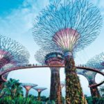 Singapore-Destination-guide