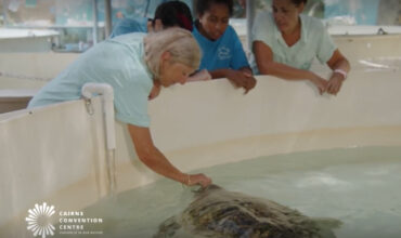 Cairns Convention Centre supports turtle rehabilitation