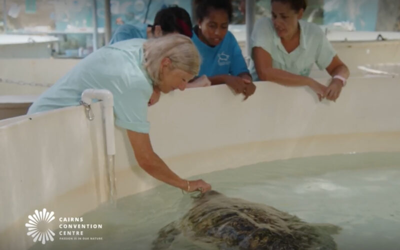 Cairns Convention Centre supports turtle rehabilitation