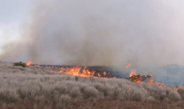 AHLA and HHA unite to help hotel employees and guests impacted by Hawaii wildfires