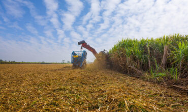 Unearthing Brisbane’s agricultural strengths – Why Queensland’s capital is leading the nation in agribusiness
