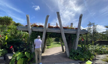Auckland wins World Green Infrastructure Congress 2024