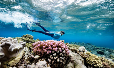 Marine biologist Brittany Wassing at Moore Reef on the Great Barrier Reef