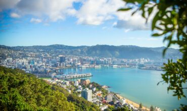 Wellington wins hydro-environment engineering conference