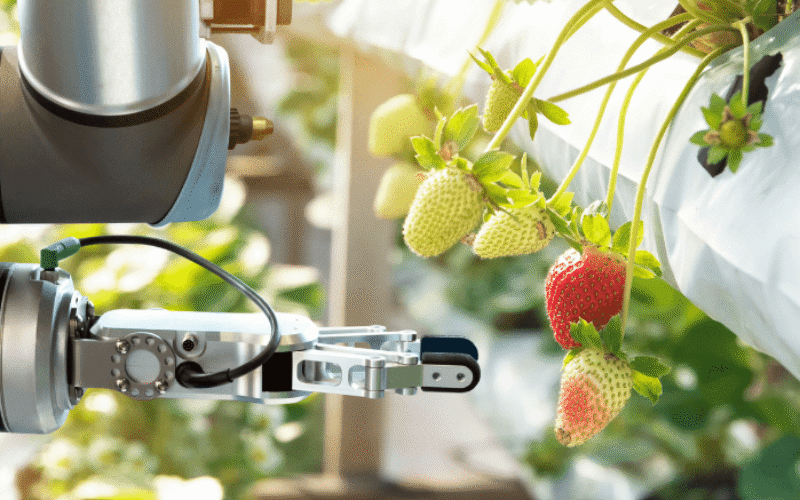 Five reasons to host your agricultural business event in Brisbane