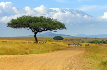 Planting a legacy for a greener future